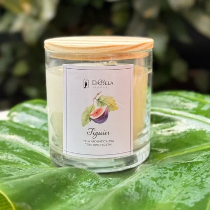Vela Aromática Figuier (Figo) 190g