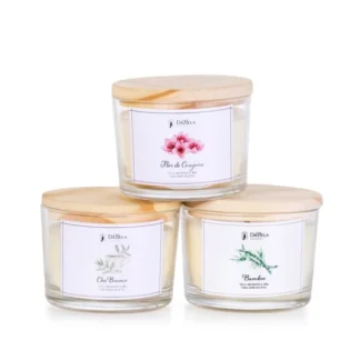 Kit Velas Aromáticas Coleção Outono Particular 100g – com 20% de desconto no valor