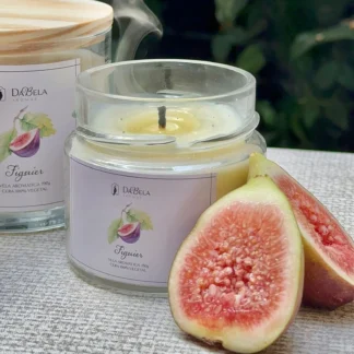 Vela Aromática Figuier (Figo) 150g