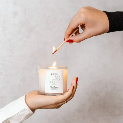 Kit Velas Aromáticas Coleção Outono Particular 190g – com 20% de desconto no valor - Imagem 3