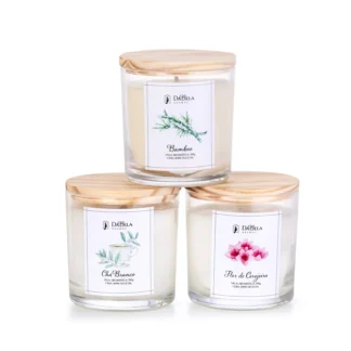 Kit Velas Aromáticas Coleção Outono Particular 190g – com 20% de desconto no valor