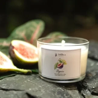 Vela Aromática Figuier (Figo) 100g
